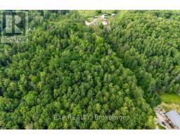 00 Mine View Road, Whitewater Region, ON K0J1Y0 Photo 16
