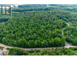 00 Mine View Road, Whitewater Region, ON K0J1Y0 Photo 18