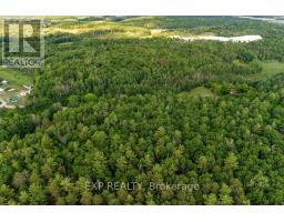 00 Mine View Road, Whitewater Region, ON K0J1Y0 Photo 15