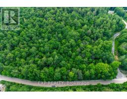00 Mine View Road, Whitewater Region, ON K0J1Y0 Photo 19