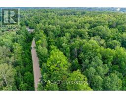 00 Mine View Road, Whitewater Region, ON K0J1Y0 Photo 24