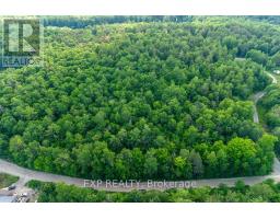 00 Mine View Road, Whitewater Region, ON K0J1Y0 Photo 6