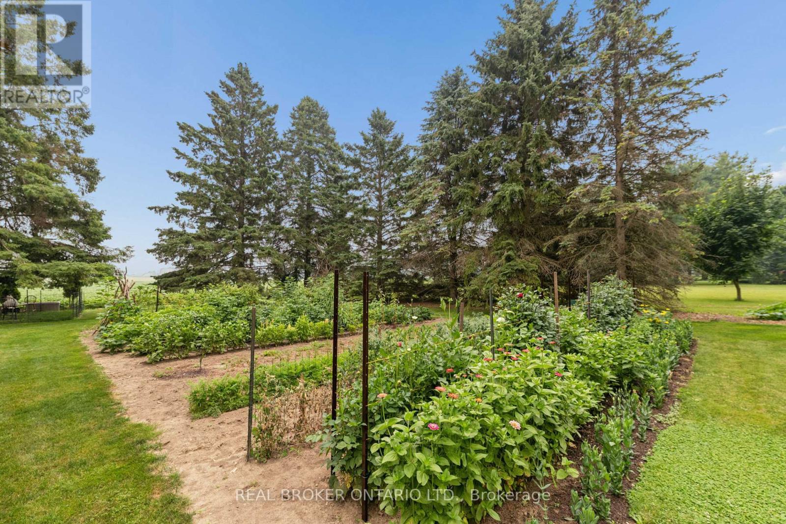 7323 SIDEROAD 15, RR1 ROAD - Image 44