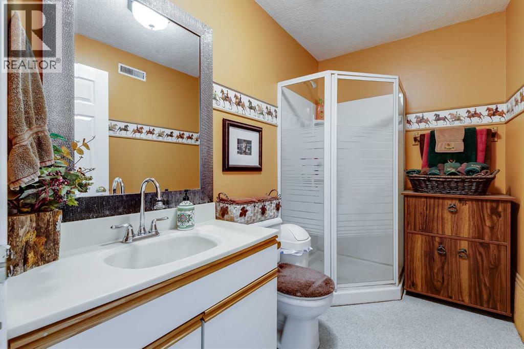 51328 Range Road 231 - Photo 10
