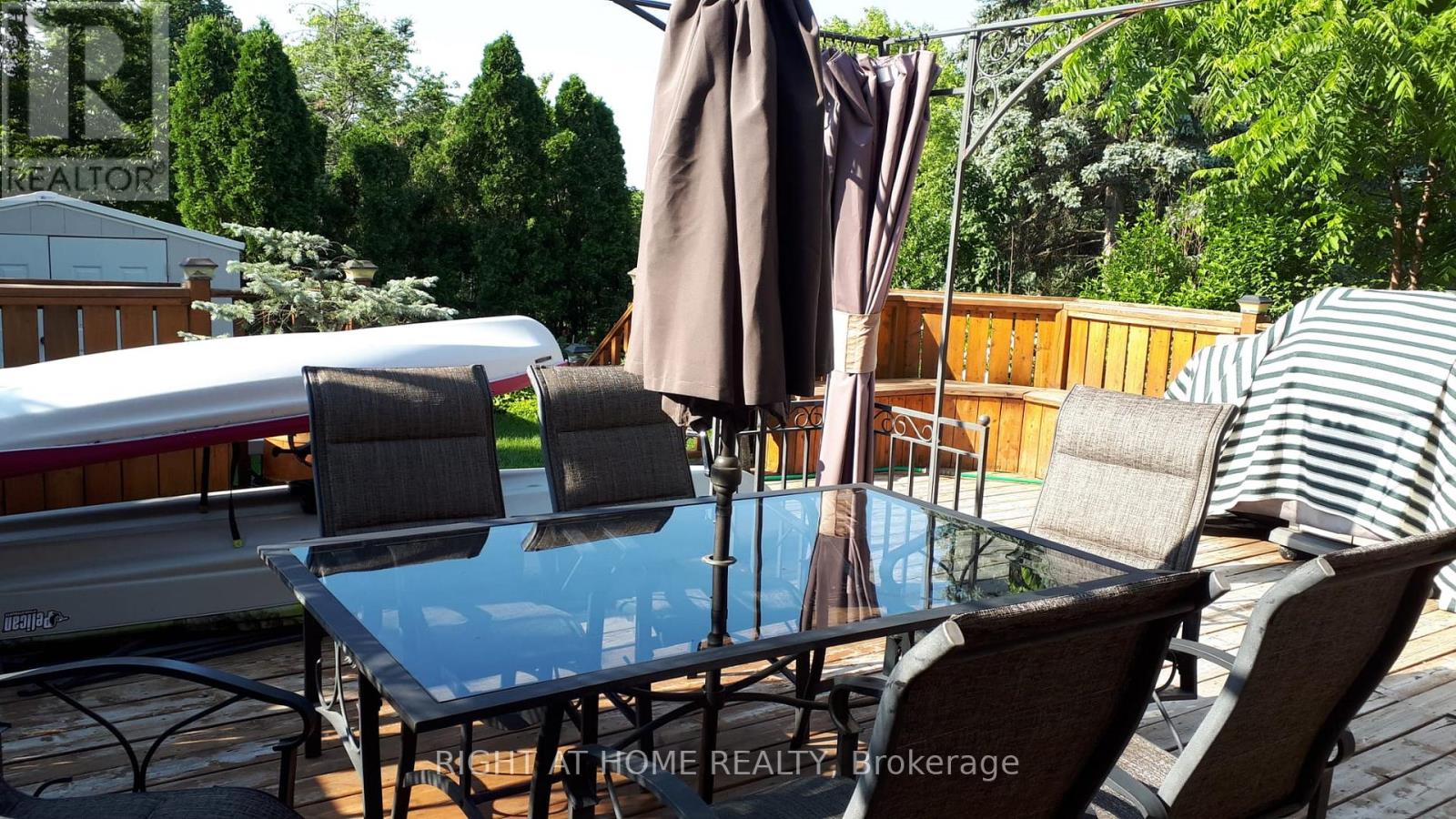 31 STARGELL CRESCENT - 41
