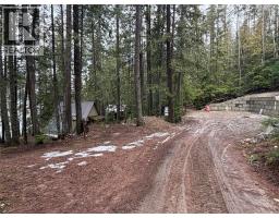 8700 Mabel Lake Road, Lumby, BC V0E2G0 Photo 11