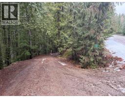 8700 Mabel Lake Road, Lumby, BC V0E2G0 Photo 9