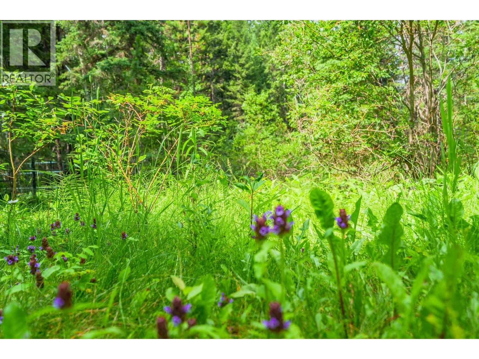 3669 BRADLEY CREEK ROAD - 16