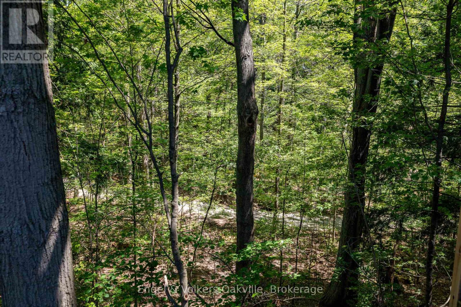 1329 WHITE OAKS BOULEVARD - 49