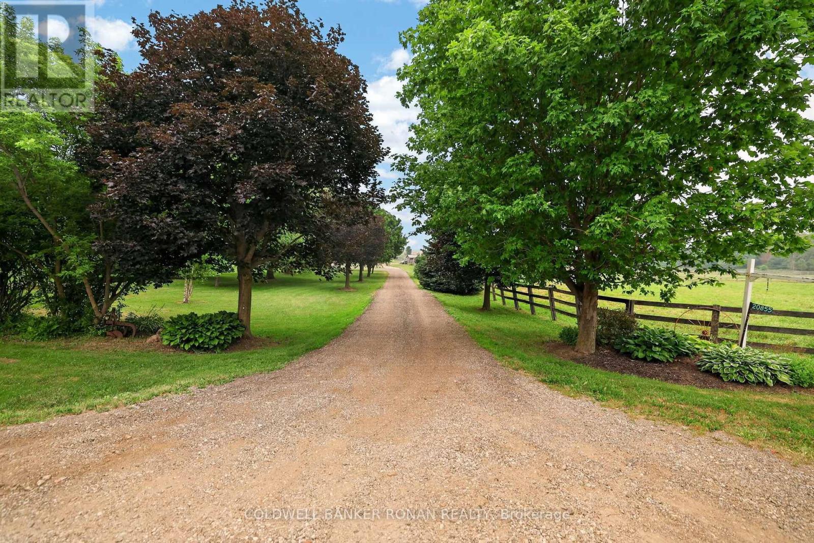 20855 SHAWS CREEK ROAD - Image 42