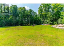 2430 Hadlington Road, Highlands East, ON K0L3C0 Photo 37