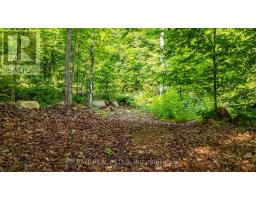 2430 Hadlington Road, Highlands East, ON K0L3C0 Photo 41