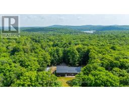 2430 Hadlington Road, Highlands East, ON K0L3C0 Photo 43
