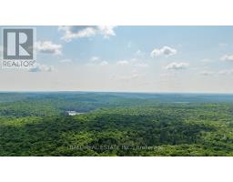 2430 Hadlington Road, Highlands East, ON K0L3C0 Photo 47