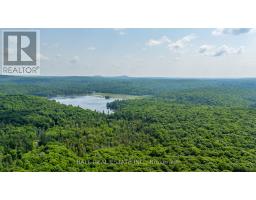 2430 Hadlington Road, Highlands East, ON K0L3C0 Photo 50