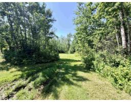 7006 Twp Rd 583, Rural St  Paul County, AB T0A3A0 Photo 46
