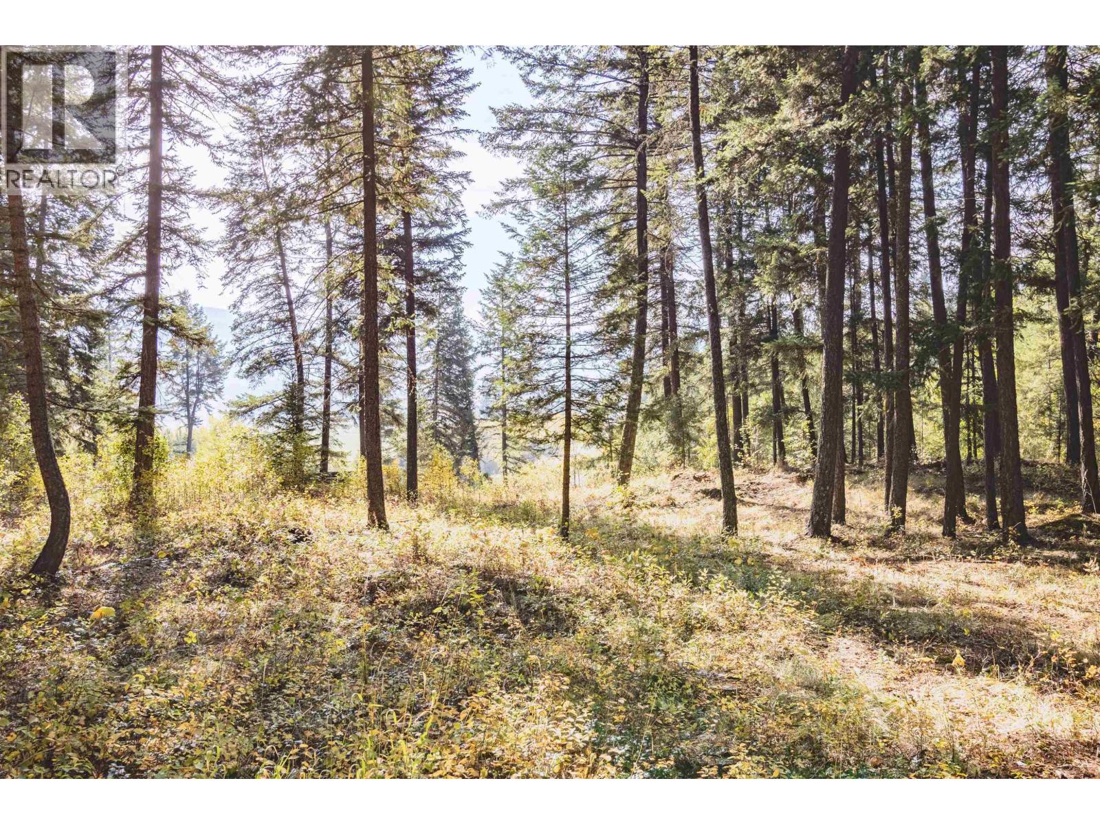 LOT 3 RAINBOW DRIVE, Canim Lake