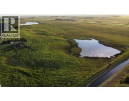 3300 George Freeman Trail, Strathmore, AB T1P2E5 Photo 6