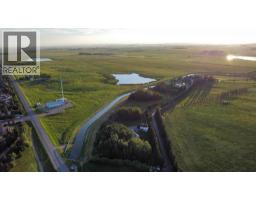 3300 George Freeman Trail, Strathmore, AB T1P2E5 Photo 7