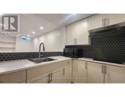 Bsmnt - 51 Waldron Crescent, Richmond Hill, ON L3Z0B3 Photo 10