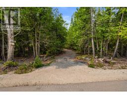 479 Dyers Bay Road, Northern Bruce Peninsula, ON N0H1Z0 Photo 47