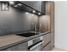 2513 - 35 Mercer Street, Toronto, ON M5V1H2 Photo 6