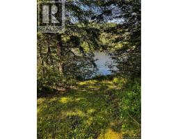 1076 Baisley Road, Saint Jacques, NB E7B2A3 Photo 27