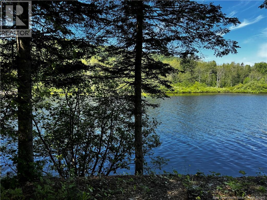 1076 BAISLEY Road - 26