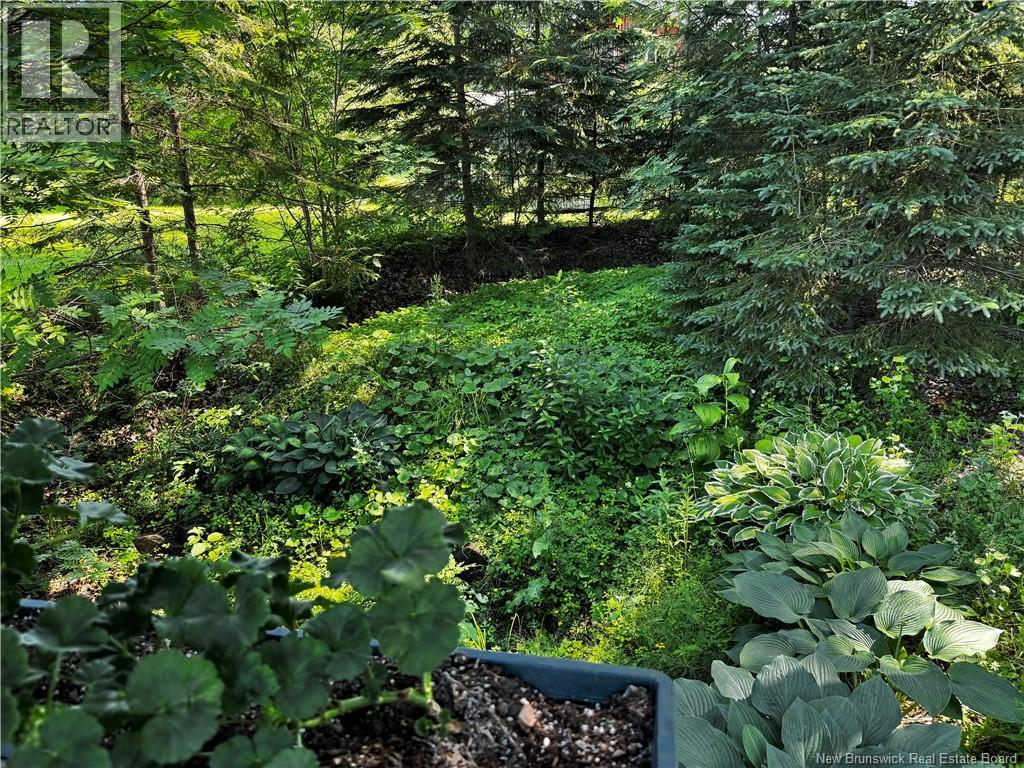 1076 BAISLEY Road - Image 44