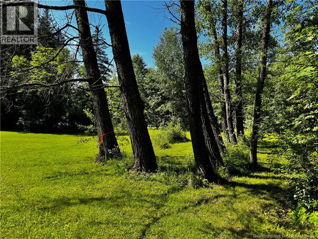 1076 BAISLEY Road - Image 43