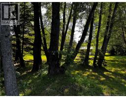 1076 Baisley Road, Saint Jacques, NB E7B2A3 Photo 45
