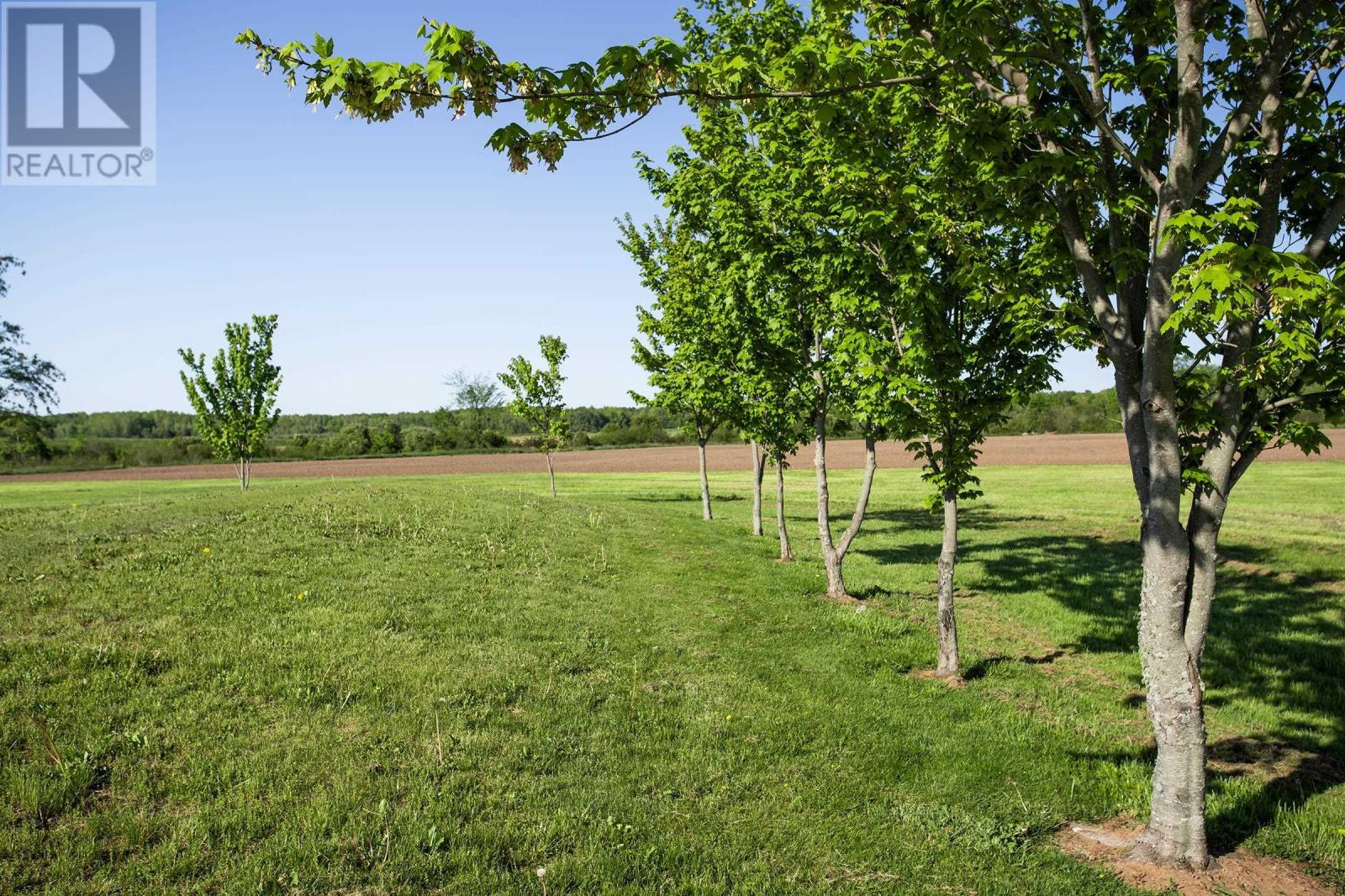 509 Fitch Road - 7