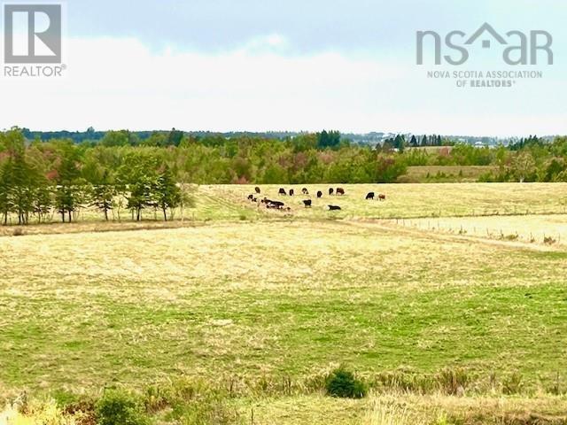 1143 Upper River John Road - 47