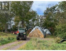 1143 Upper River John Road, Tatamagouche, NS B0K1V0 Photo 48