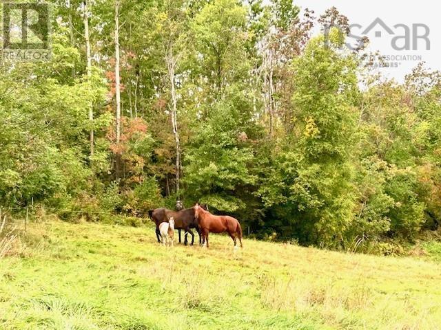 1143 Upper River John Road - 46