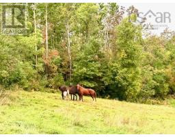 1143 Upper River John Road, Tatamagouche, NS B0K1V0 Photo 46