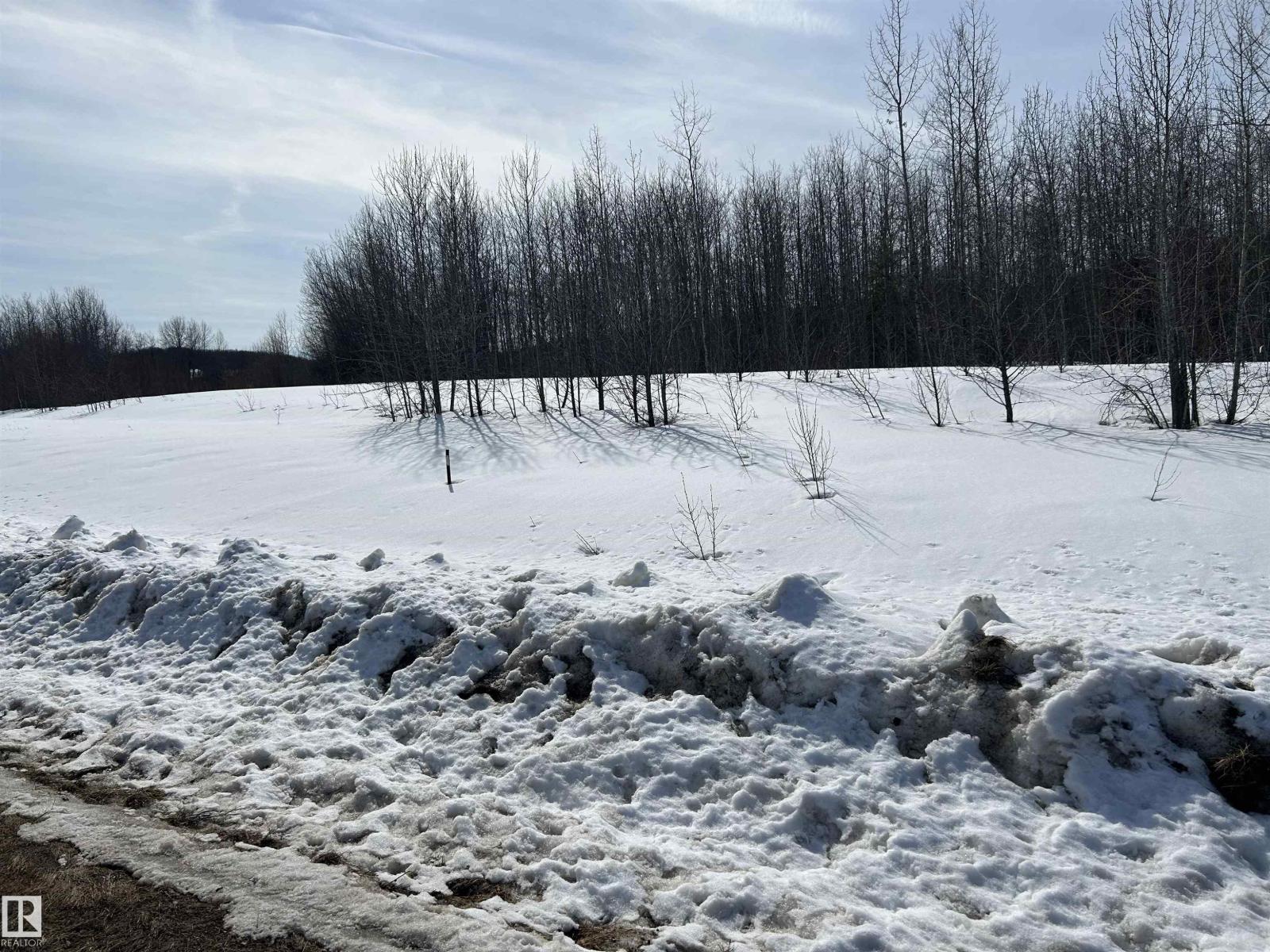 NE 23 62 1 W4 411A Road