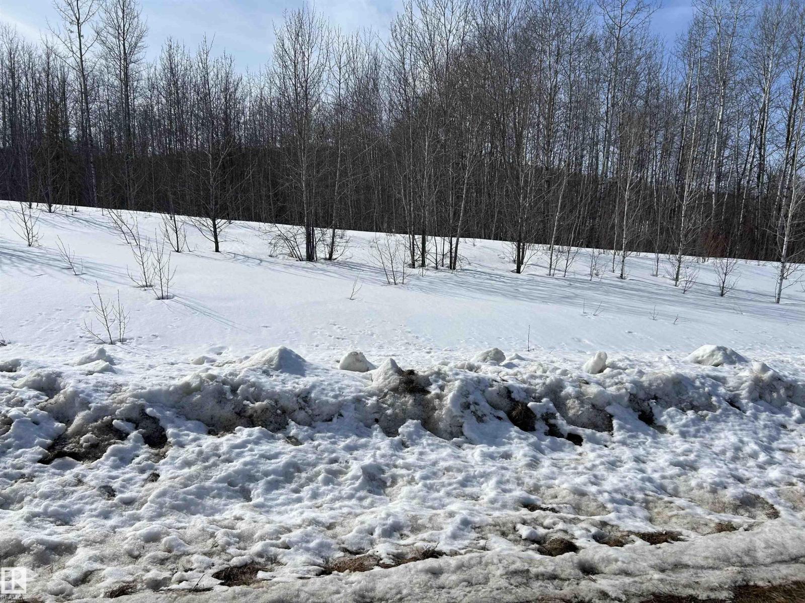 NE 23 62 1 W4 411A Road