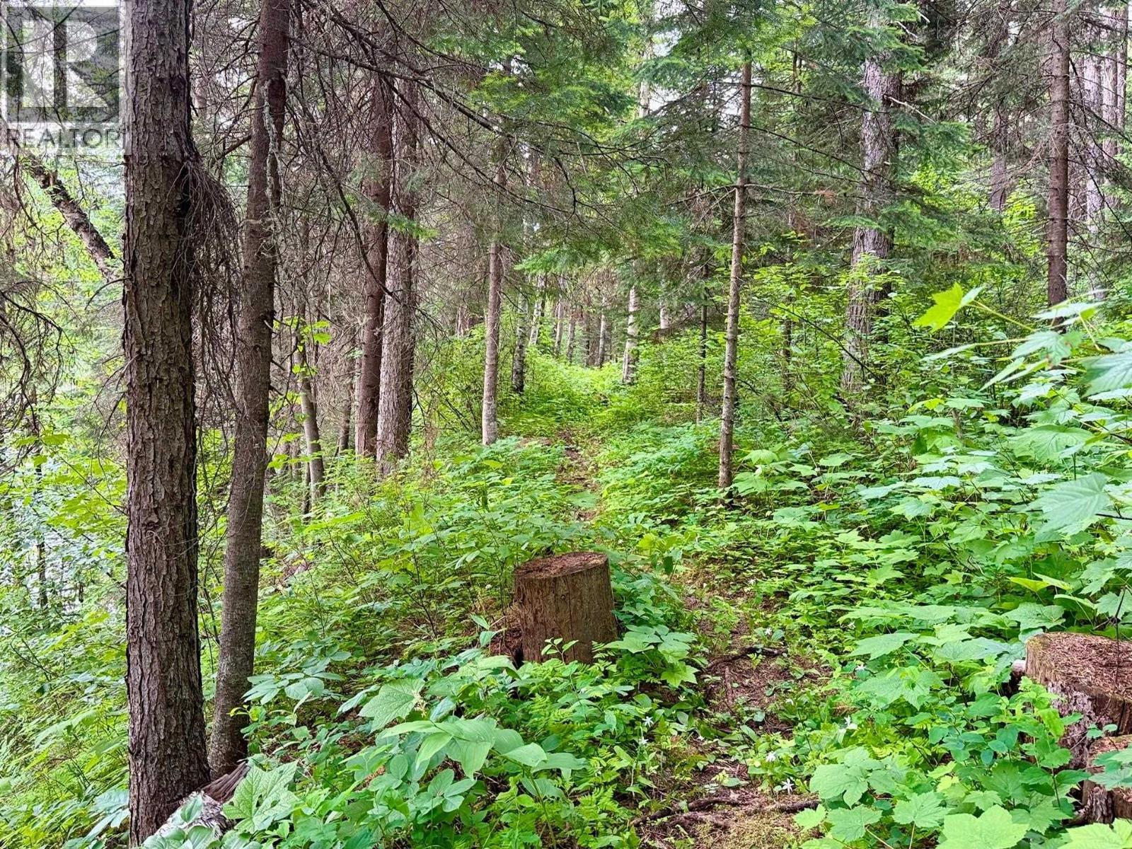 7280 OTWAY ROAD - 33