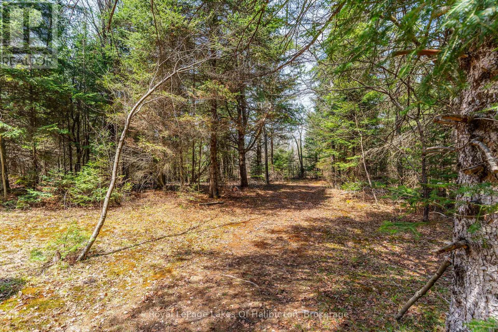 1033 BAYBERRY LANE - 40