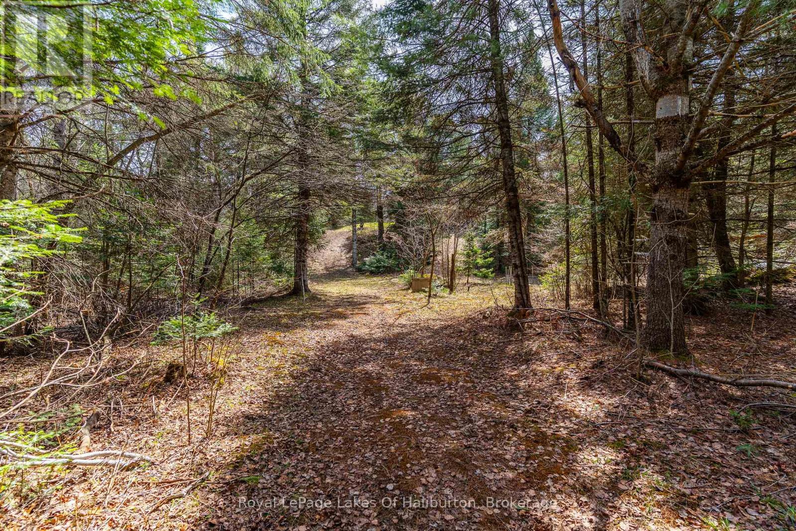 1033 BAYBERRY LANE - 41