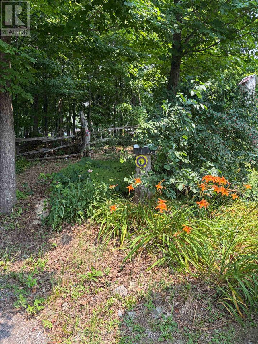 4309 MAPLE DRIVE - Image 46