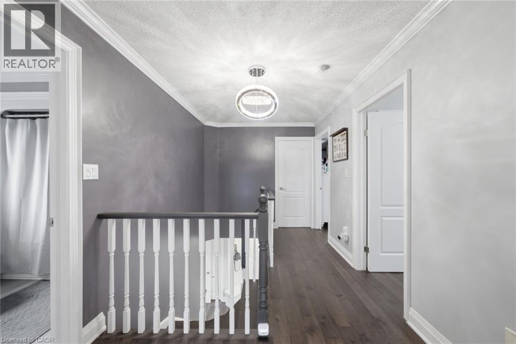 179 JACQUELINE Boulevard - 19