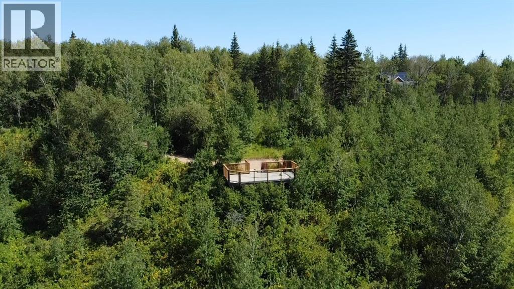 4244 654036 Range Road 222 - Photo 10