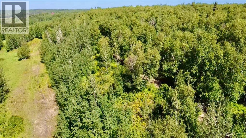 4244 654036 Range Road 222 - Photo 11