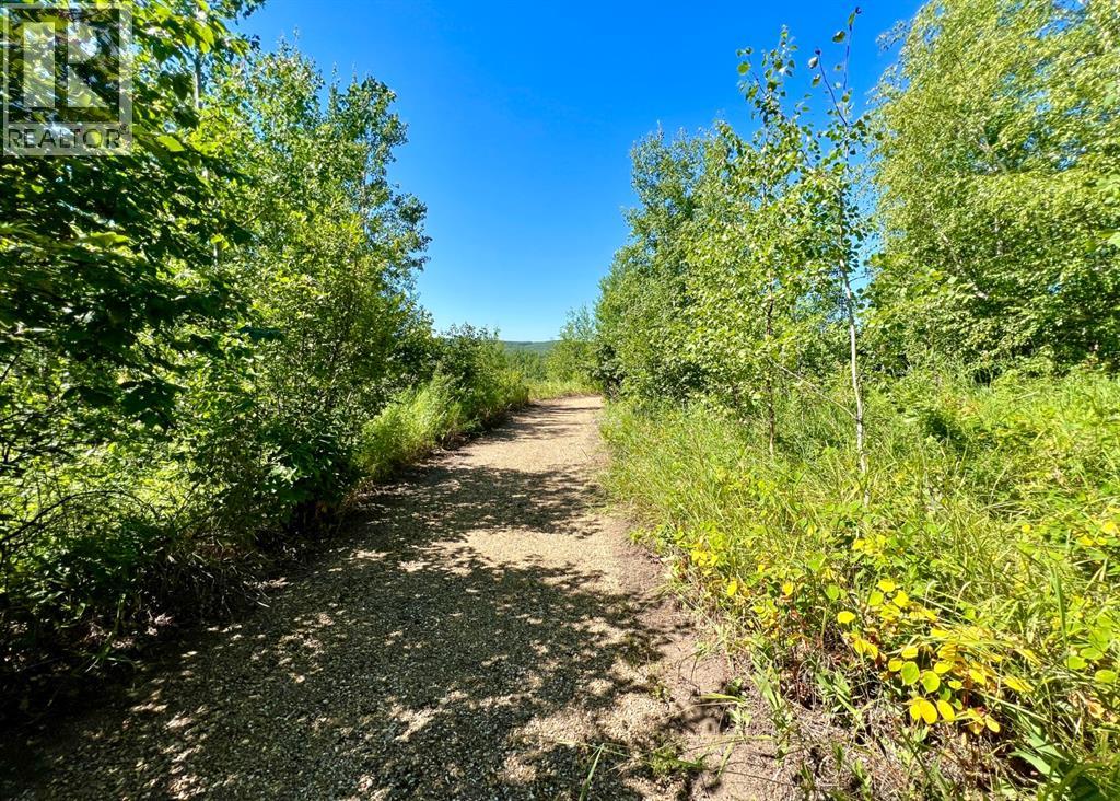 4244 654036 Range Road 222 - Photo 14