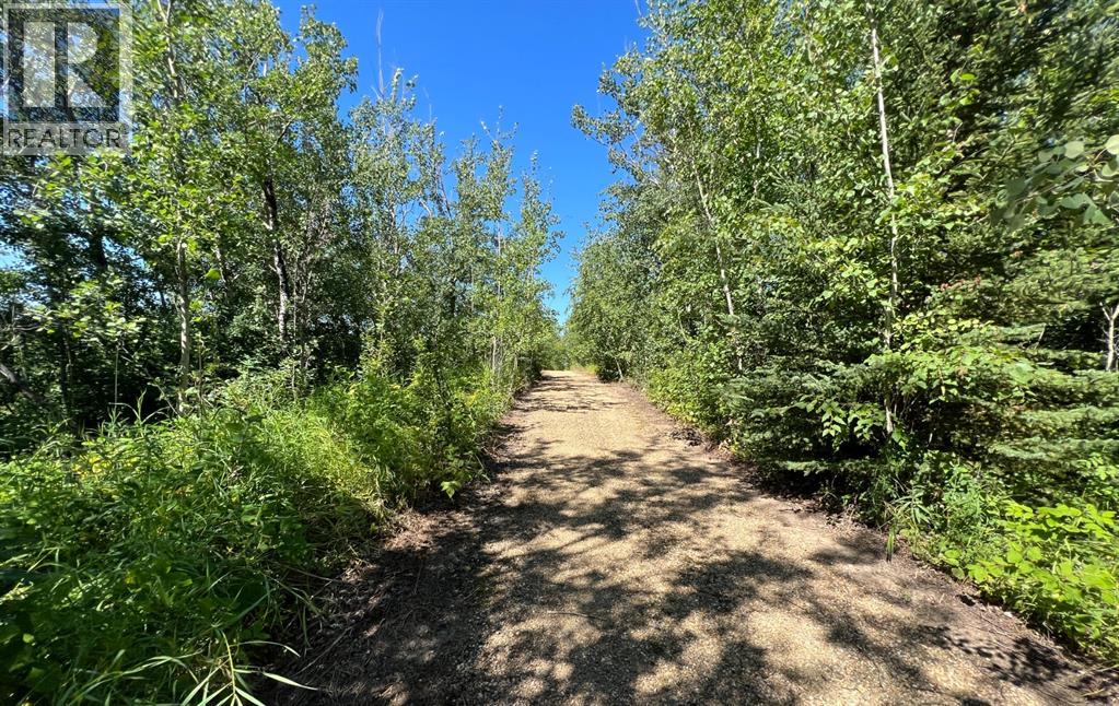 4244 654036 Range Road 222 - Photo 15