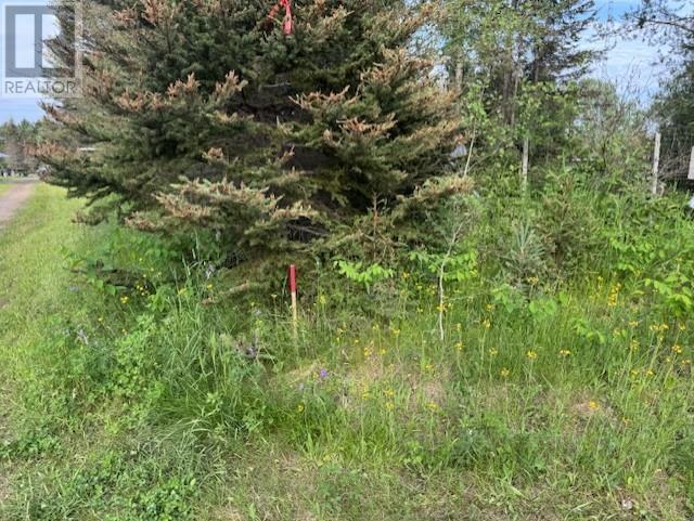 183 Thompson RD - Image 25