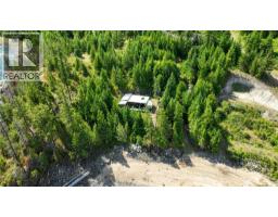 Lower Arrow Lake Lot# 14, Robson, BC V1N3H3 Photo 40