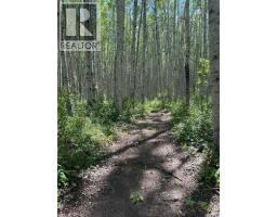 69565 Range Road 65, Grovedale, AB T0H1X0 Photo 45
